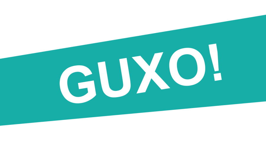 “Guxo” i nis përgatitjet për zgjedhjet e brendshme