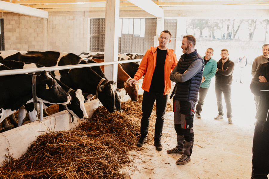 Në fshatin Dashinoc të Komunës së Deçanit...
